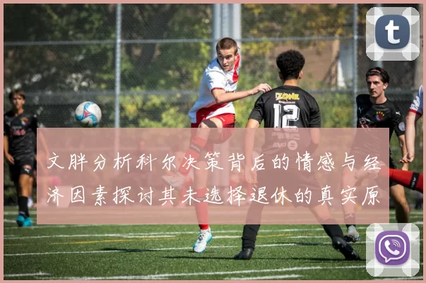 文胖分析科尔决策背后的情感与经济因素探讨其未选择退休的真实原因